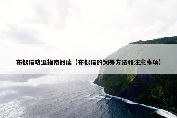 布偶猫劝退指南阅读（布偶猫的饲养方法和注意事项）