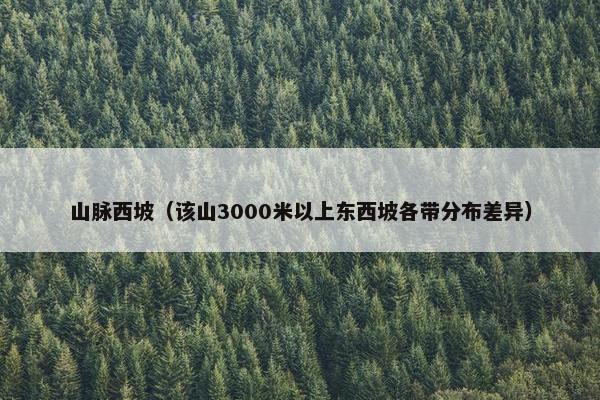 山脉西坡（该山3000米以上东西坡各带分布差异）