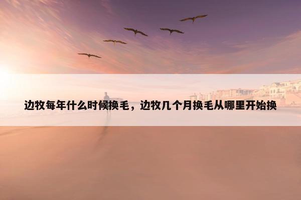 边牧每年什么时候换毛,边牧几个月换毛从哪里开始换