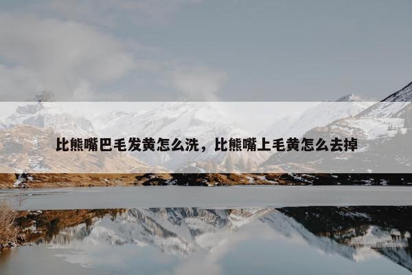 比熊嘴巴毛发黄怎么洗，比熊嘴上毛黄怎么去掉