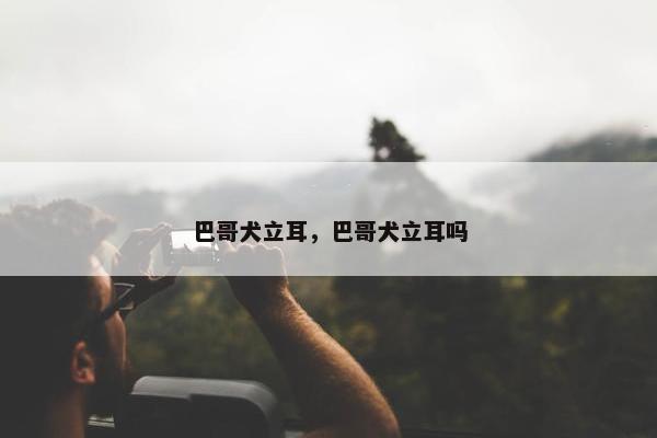 巴哥犬立耳,巴哥犬立耳吗