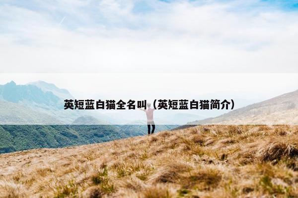 英短蓝白猫全名叫（英短蓝白猫简介）