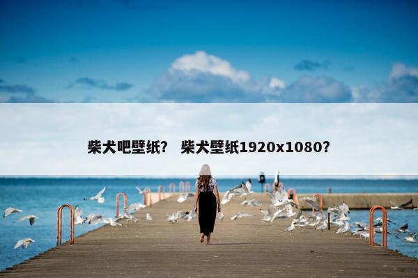 柴犬吧壁纸? 柴犬壁纸1920x1080?