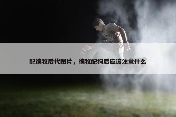 配德牧后代图片，德牧配狗后应该注意什么