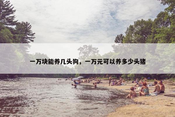 一万块能养几头狗，一万元可以养多少头猪