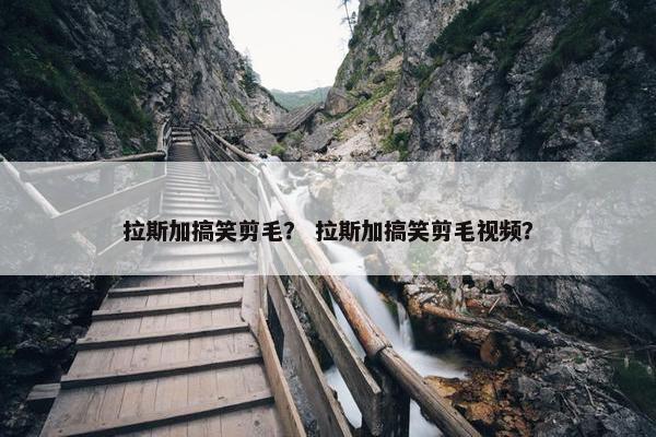 拉斯加搞笑剪毛? 拉斯加搞笑剪毛视频?