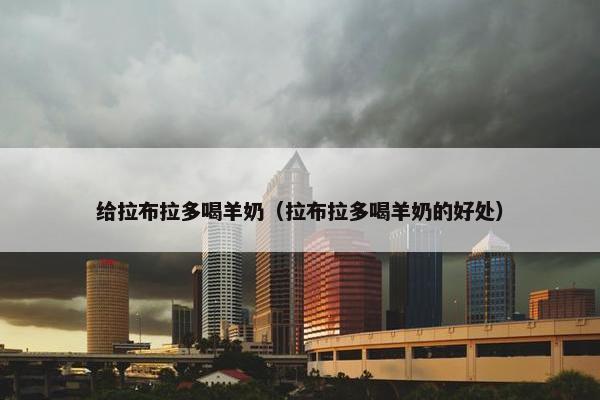 给拉布拉多喝羊奶（拉布拉多喝羊奶的好处）
