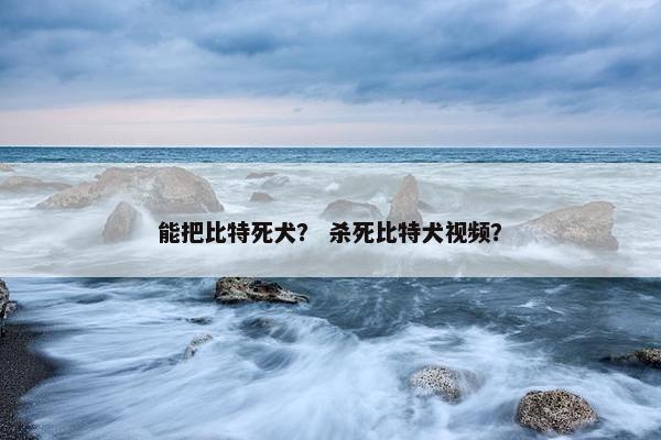 能把比特死犬？ 杀死比特犬视频？