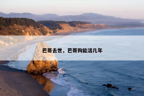 巴哥去世，巴哥狗能活几年