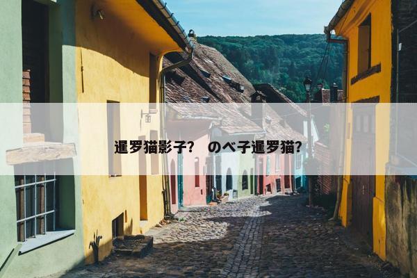 暹罗猫影子？ のべ子暹罗猫？