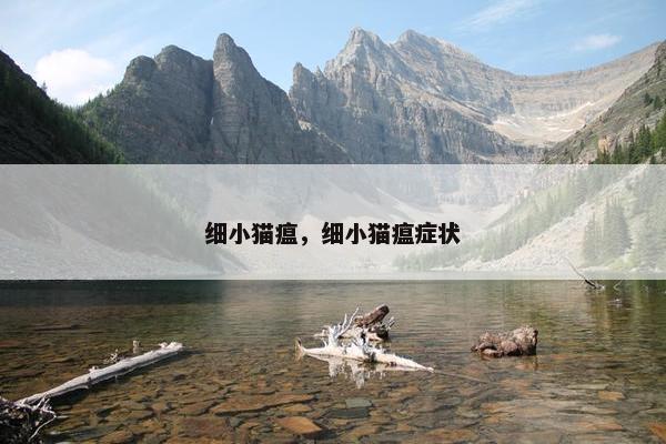 细小猫瘟,细小猫瘟症状