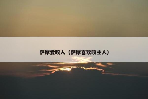 萨摩爱咬人（萨摩喜欢咬主人）
