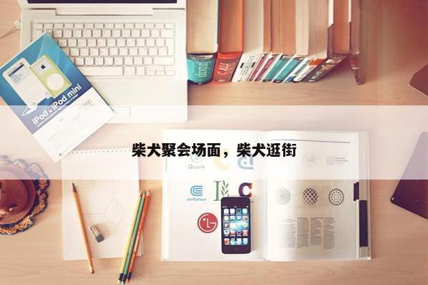 柴犬聚会场面，柴犬逛街