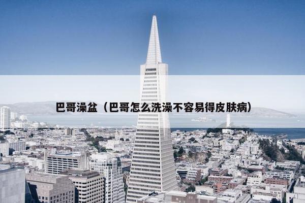巴哥澡盆(巴哥怎么洗澡不容易得皮肤病)