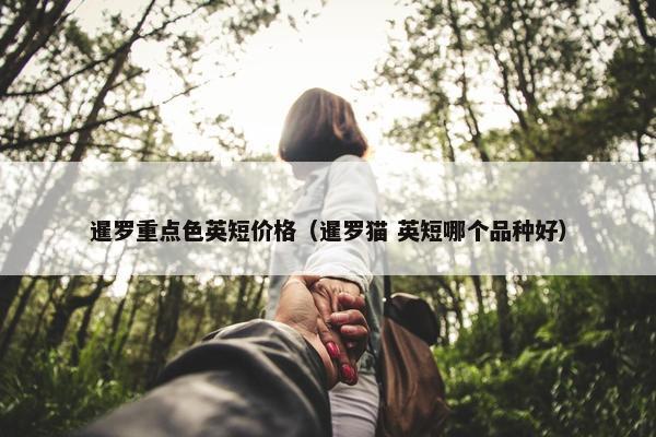 暹罗重点色英短价格（暹罗猫 英短哪个品种好）