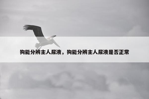 狗能分辨主人尿液，狗能分辨主人尿液是否正常