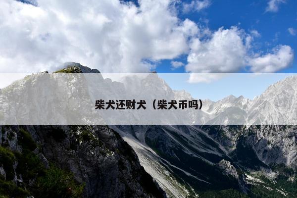 柴犬还财犬（柴犬币吗）