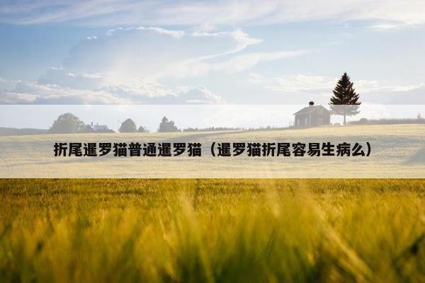 折尾暹罗猫普通暹罗猫（暹罗猫折尾容易生病么）