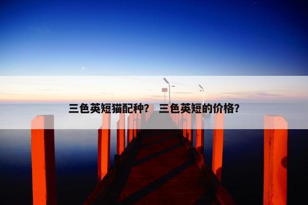 三色英短猫配种？ 三色英短的价格？