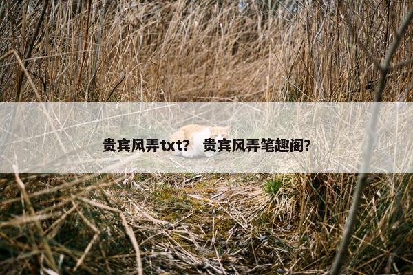 贵宾风弄txt？ 贵宾风弄笔趣阁？