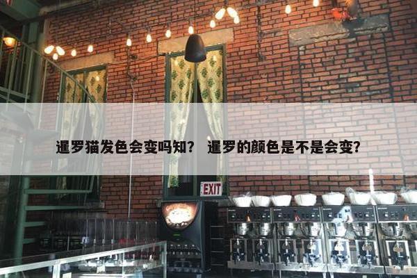 暹罗猫发色会变吗知？ 暹罗的颜色是不是会变？
