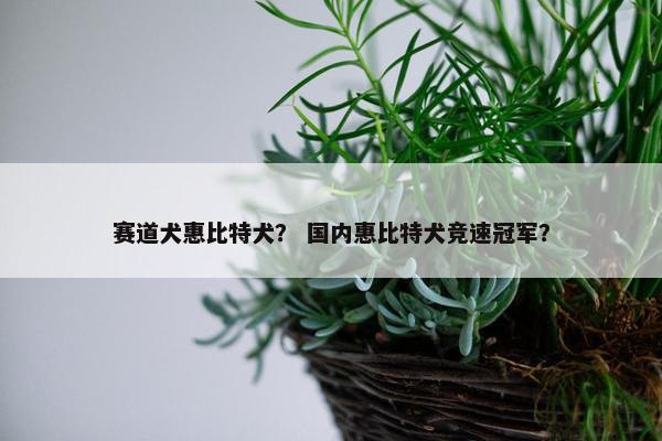 速度