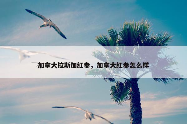 加拿大拉斯加红参,加拿大红参怎么样