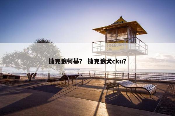 捷克狼柯基？ 捷克狼犬cku？
