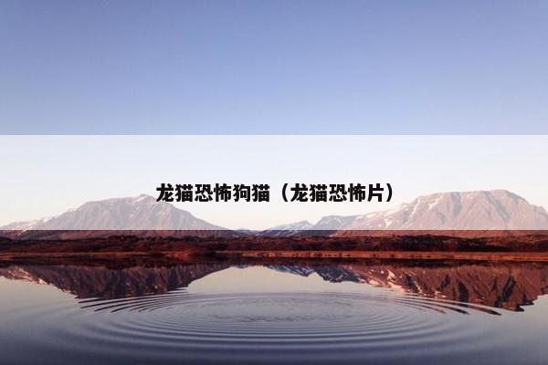 龙猫 第4页