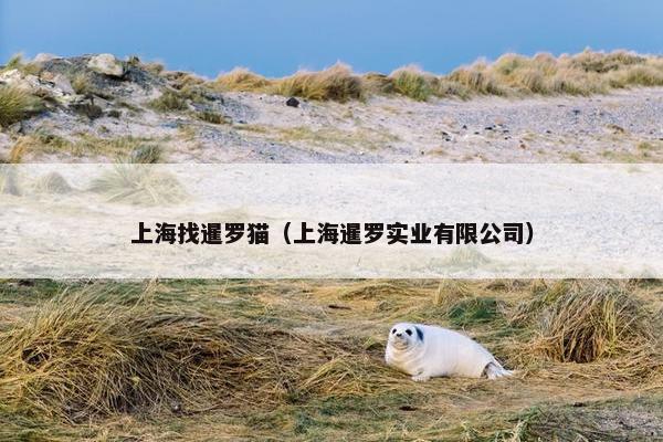 上海找暹罗猫（上海暹罗实业有限公司）
