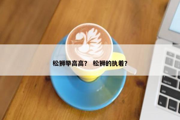 松狮举高高？ 松狮的执着？