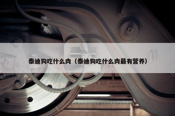 泰迪狗吃什么肉（泰迪狗吃什么肉最有营养）