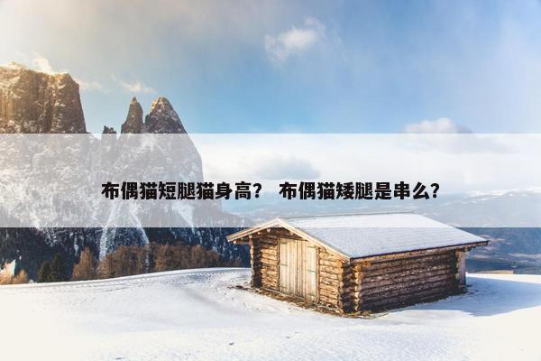布偶猫短腿猫身高？ 布偶猫矮腿是串么？