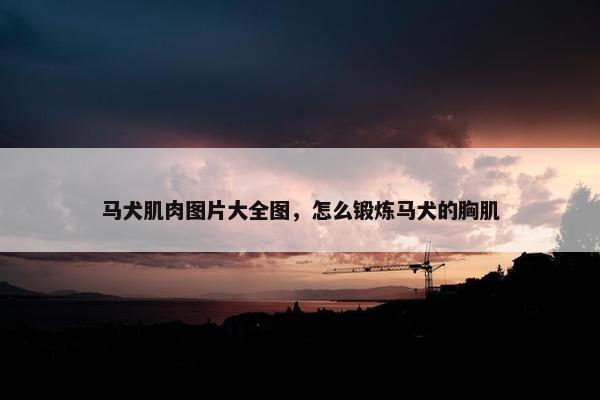 马犬肌肉图片大全图，怎么锻炼马犬的胸肌