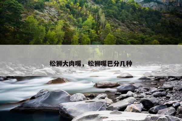松狮大肉嘴，松狮嘴巴分几种