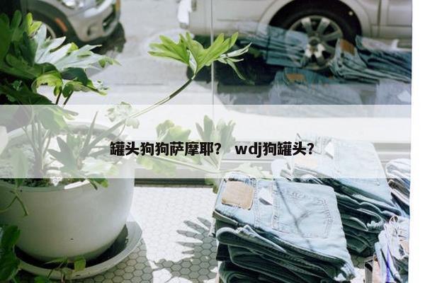 罐头狗狗萨摩耶？ wdj狗罐头？