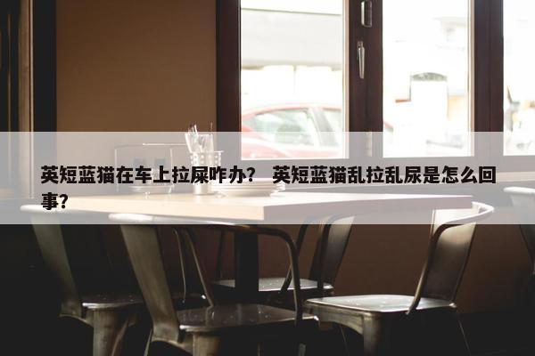 英短蓝猫在车上拉屎咋办？ 英短蓝猫乱拉乱尿是怎么回事？