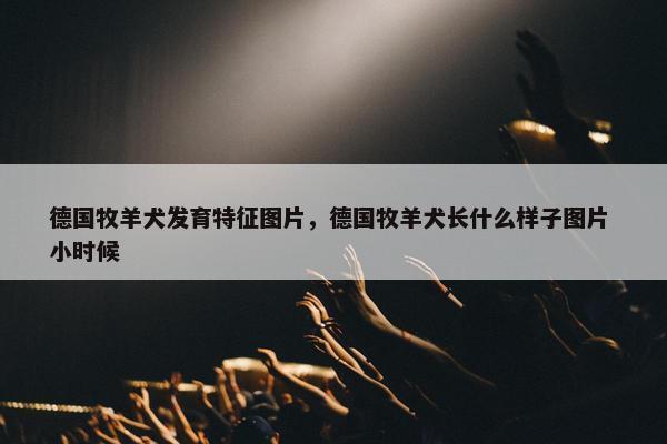 德国牧羊犬发育特征图片，德国牧羊犬长什么样子图片 小时候
