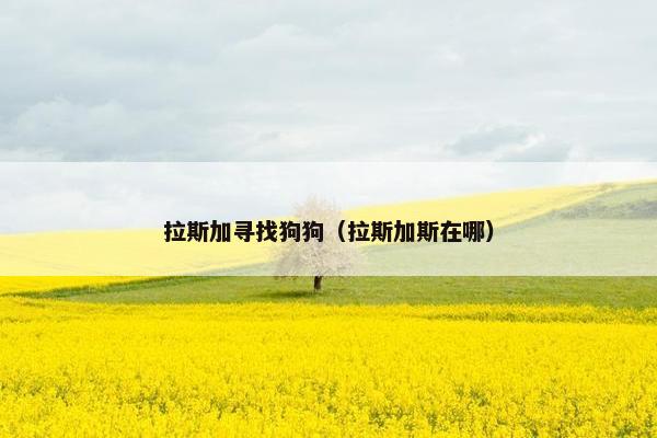 拉斯加寻找狗狗（拉斯加斯在哪）