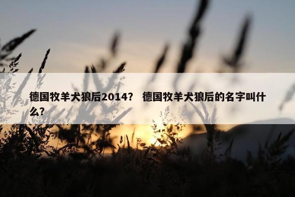 德国牧羊犬狼后2014？ 德国牧羊犬狼后的名字叫什么？