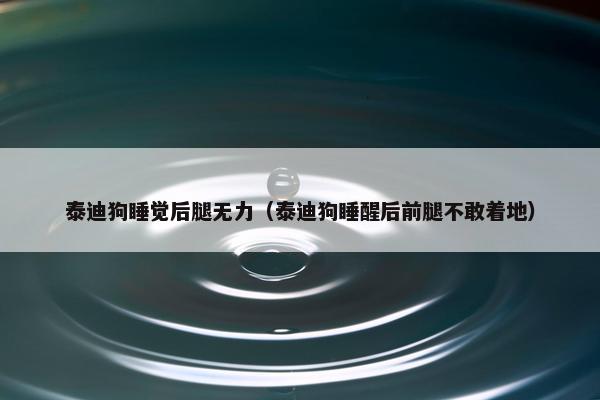 泰迪狗睡觉后腿无力（泰迪狗睡醒后前腿不敢着地）