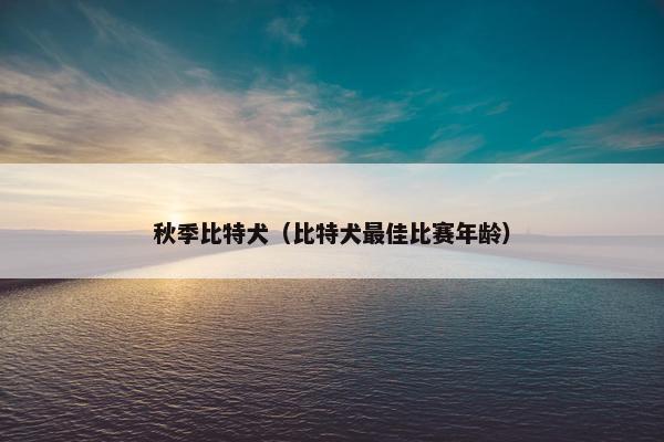 秋季比特犬（比特犬最佳比赛年龄）