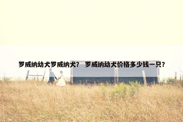 罗威纳幼犬罗威纳犬？ 罗威纳幼犬价格多少钱一只？