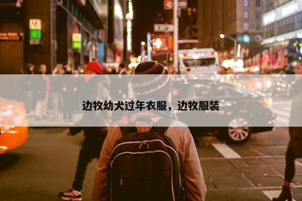边牧幼犬过年衣服，边牧服装