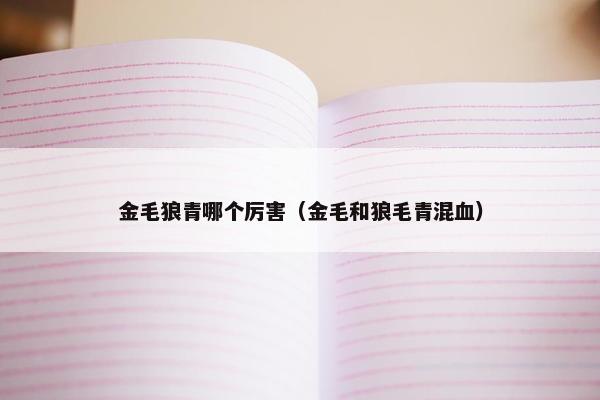金毛狼青哪个厉害（金毛和狼毛青混血）