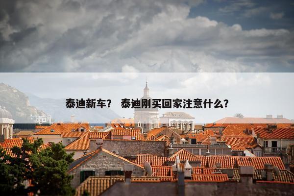 泰迪新车？ 泰迪刚买回家注意什么？
