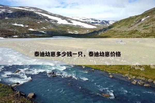 泰迪幼崽多少钱一只，泰迪幼崽价格