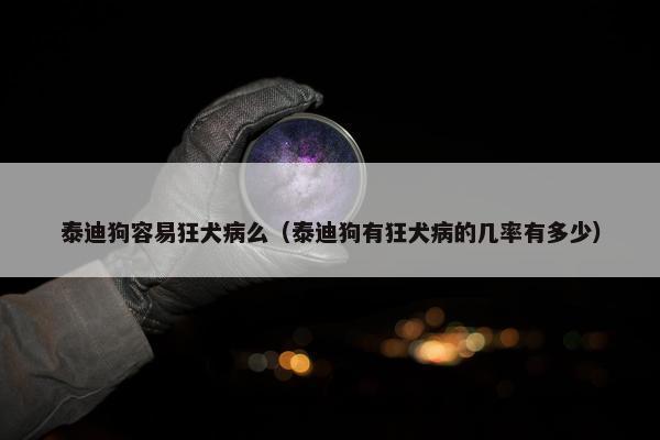 泰迪狗容易狂犬病么(泰迪狗有狂犬病的几率有多少)