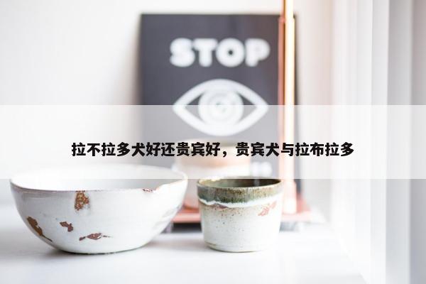 拉不拉多犬好还贵宾好,贵宾犬与拉布拉多