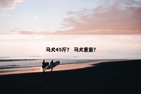 马犬45斤？ 马犬重量？